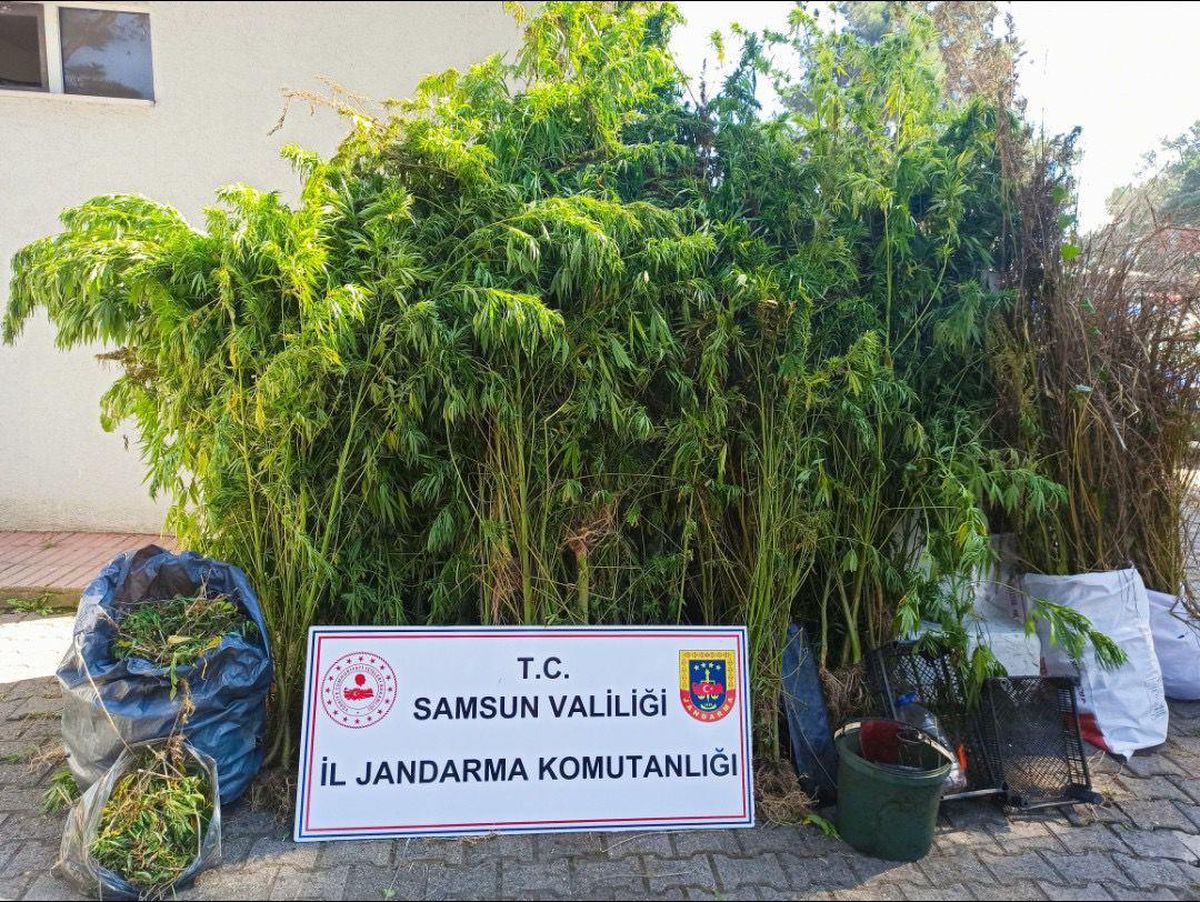 Samsun gündem: Samsun'da düzenlenen operasyonda 11 kilogram kubar esrar ele geçirildi