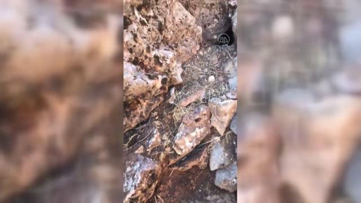Terör operasyonunda yaşam malzemeleri ele geçirildi