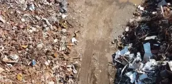 Üsküplü Türk sanatçı atık demirleri sanata dönüştürüyor