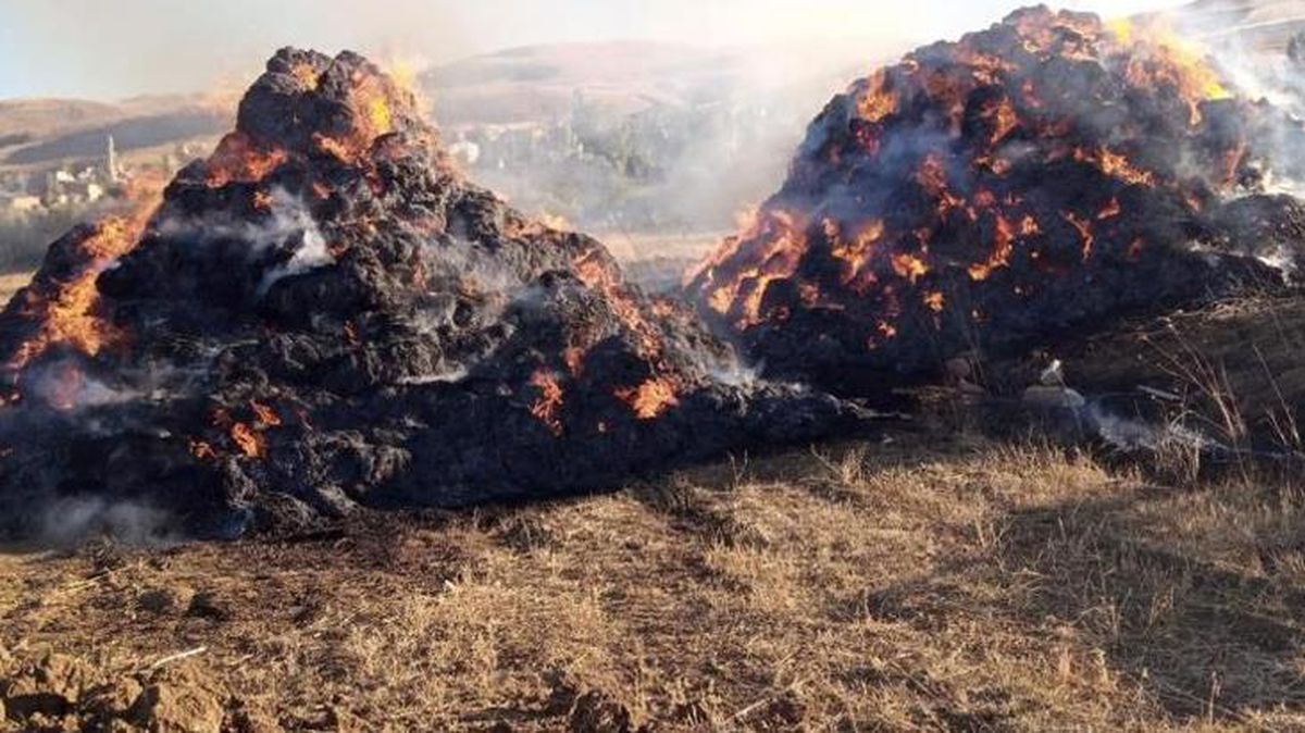 Çocukların oyun amacıyla yaktığı ateş rüzgarla birlikte büyüyerek 650 balya ve bir çadırı kül etti