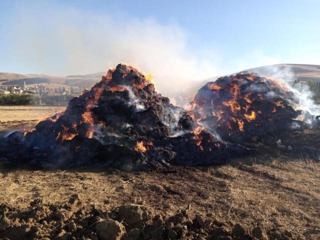 Çocukların oyun amacıyla yaktığı ateş rüzgarla birlikte büyüyerek 650 balya ve bir çadırı kül etti
