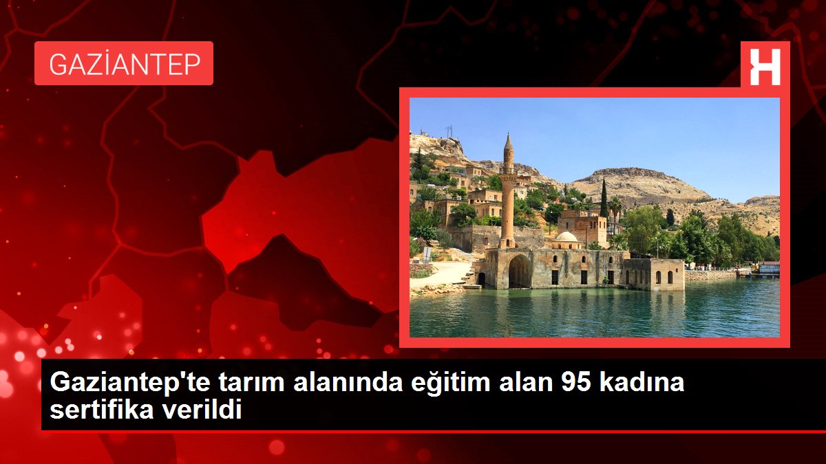 Gaziantep gündem haberleri | Gaziantep'te tarım alanında eğitim alan 95 kadına sertifika verildi