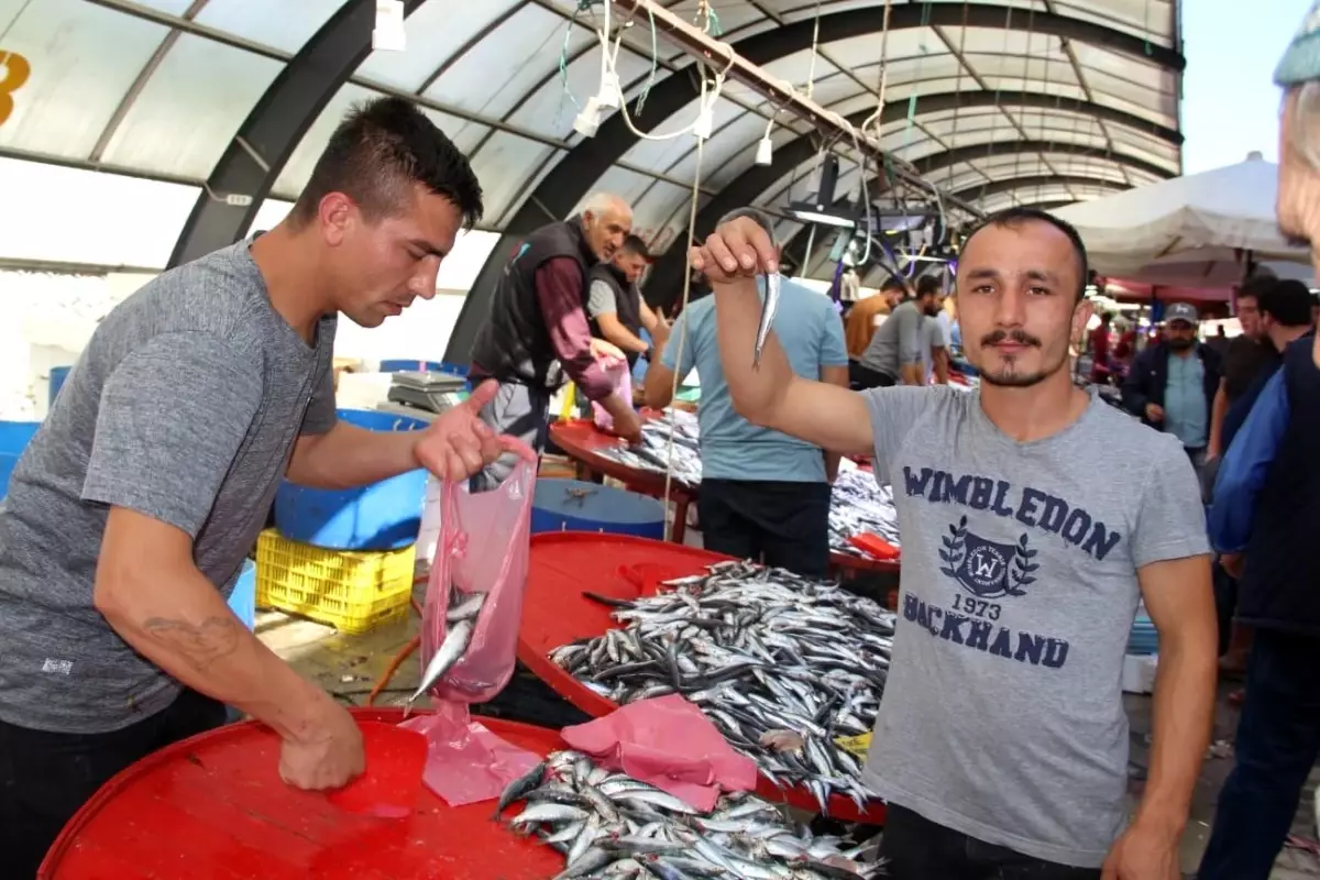 Hamsi, balık tezgahlarını süsledi
