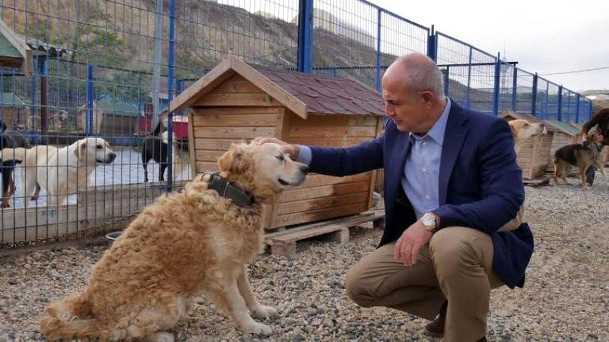 Büyükçekmece Belediyesi e-Devlet'ten hayvan sahiplendirecek