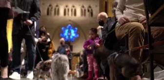 Evcil hayvan sahipleri Manhattan'daki 'Blessing of the Animals' etkinliğine katıldı