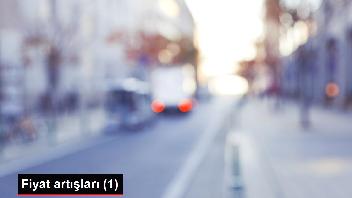 Fiyat artışları (1)