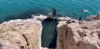 Fotoğraf severlerden tarihi Urartu merdivenlerine yoğun ilgi