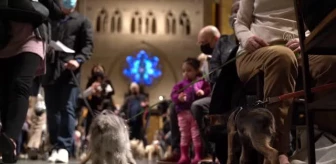 Katedralde evcil hayvanların kutsanması etkinliği