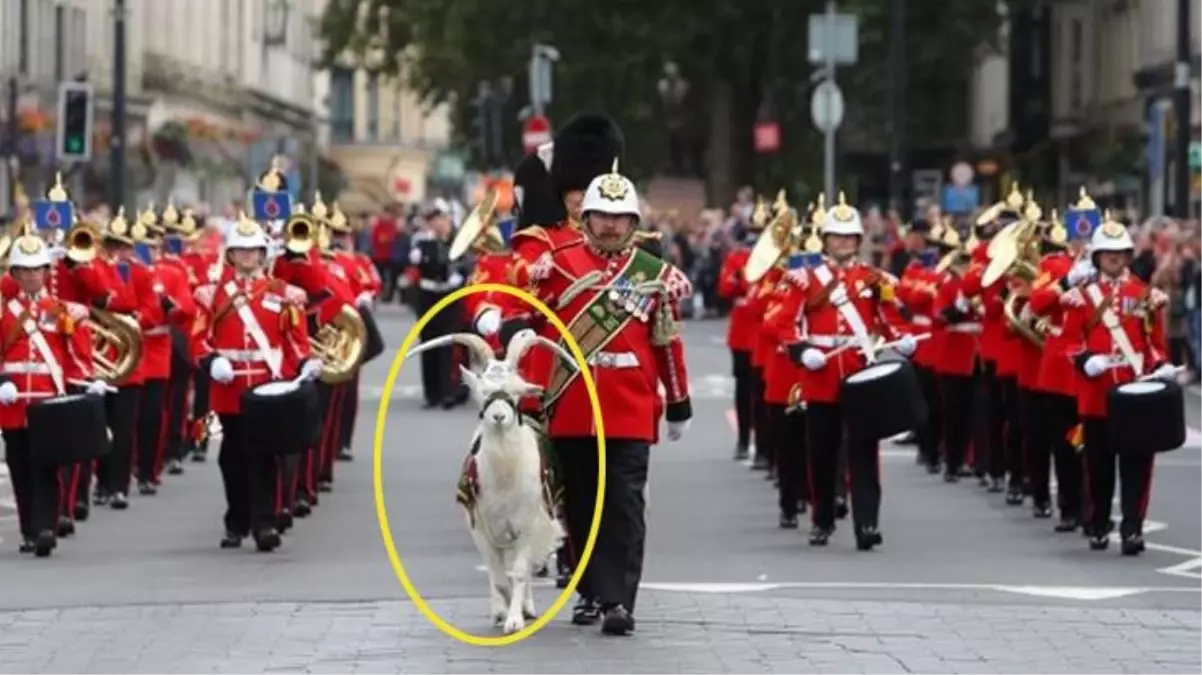 Kraliçe Elizabeth'in cenaze törenindeki keçinin şeytana saygıyı temsil ettiği iddiası