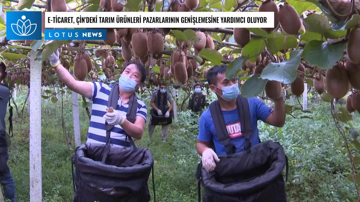 Video: E-ticaret, Çin'deki Tarım Ürünleri Pazarlarının Genişlemesine Yardımcı Oluyor
