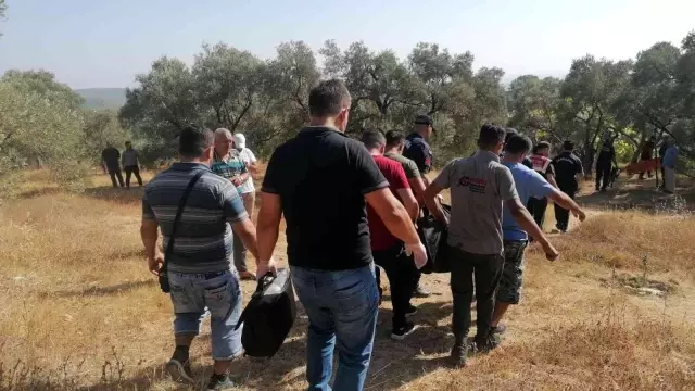 Yemek getiren damadı onu bulamayınca olay ortaya çıktı! Yaşlı adamın acı sonu Yemek getiren damadı onu bulamayınca olay ortaya çıktı! Yaşlı adamın acı sonu