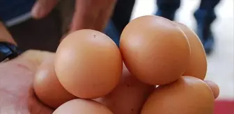 Yumurtaya bir yılda yüzde 400 oranında zam geldi
