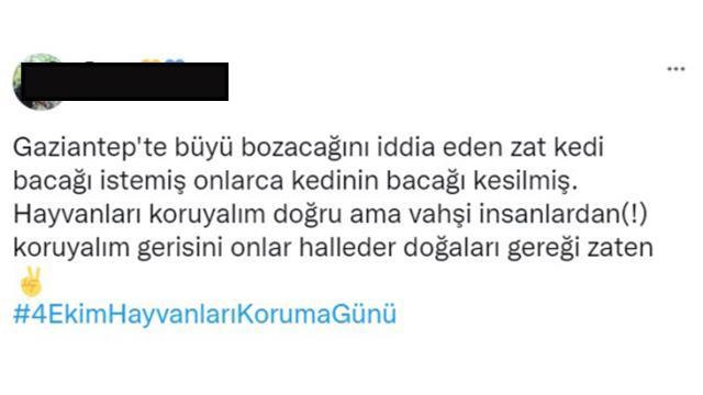 Büyü bozmak için kedilerin bacaklarını kestiler Büyü bozmak için kedilerin bacaklarını kestiler