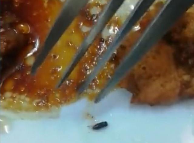 Edirne'deki KYK yurdunda kalan öğrencilerden ürküten sözler: Arkadaşımızı yatağında yılan ısırdı