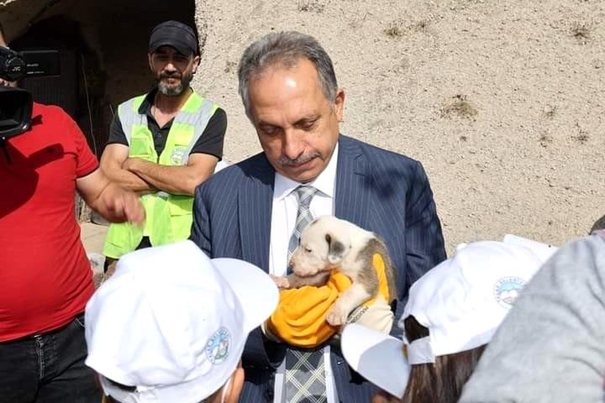 Hayvanları Koruma Günü'nde 'hayvan mezarlığı' müjdesi