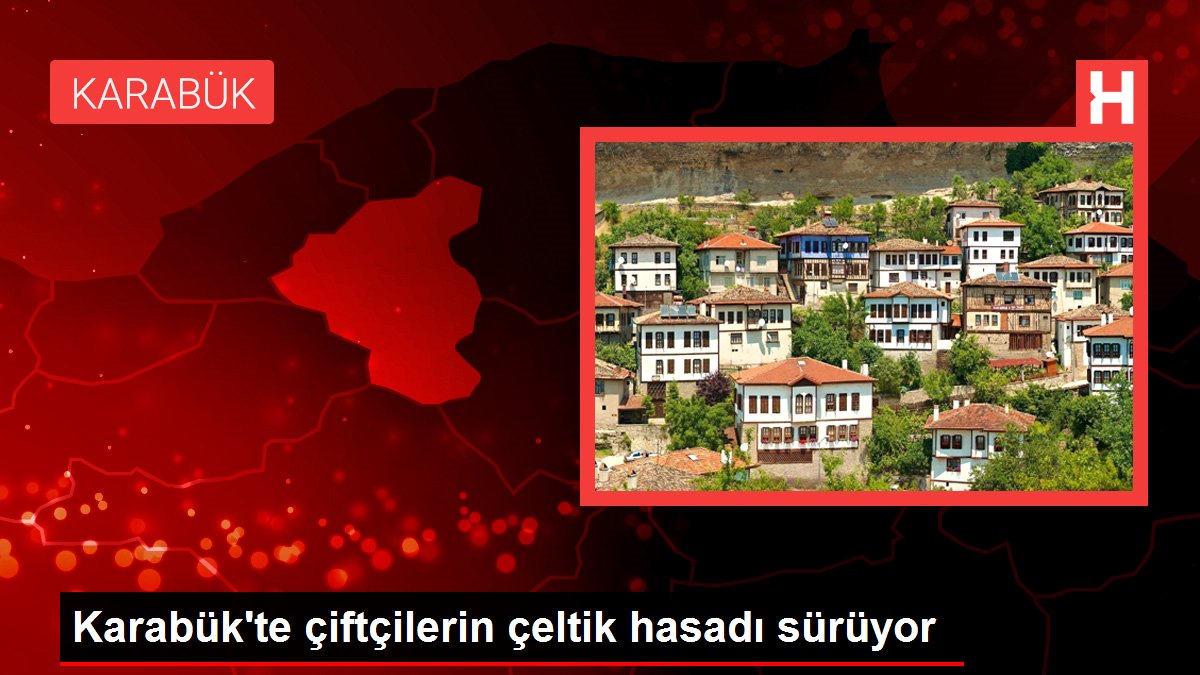 Karabük haber | Karabük'te çiftçilerin çeltik hasadı sürüyor