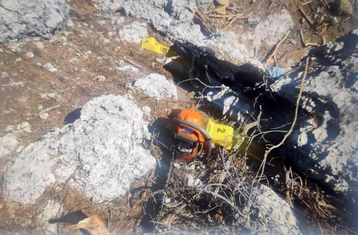 Son dakika haber: Kestiği ağacın altında kalarak hayatını kaybetti