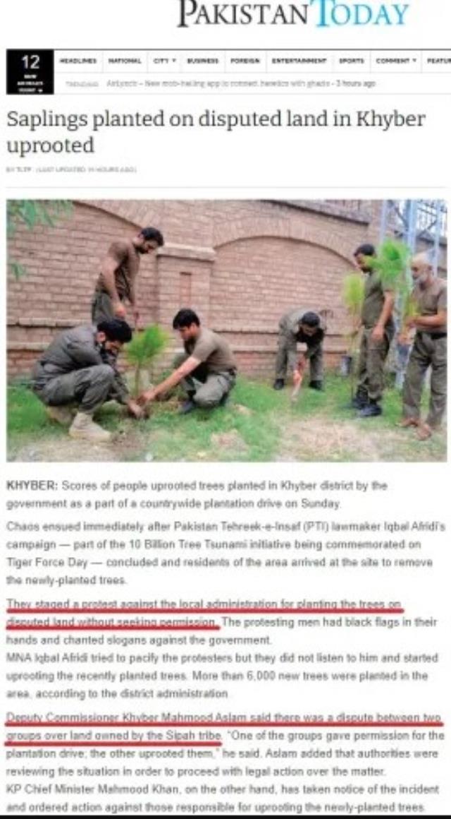 Pakistan'da insanların 'İslam'a aykırı' diyerek yeni dikilen ağaçları söktüğü iddiası