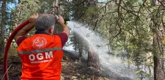 Son dakika haber | Sarıkamış'ta ormanlık alanda çıkan örtü yangını orman kahramanları tarafından söndürüldü