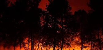 AB'den orman yangınlarına karşı 170 milyon euro yatırım