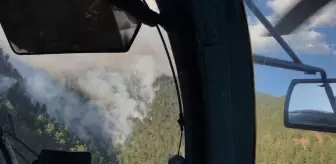 Son dakika haberi: Adana'da yeniden başlayan orman yangını söndürüldü