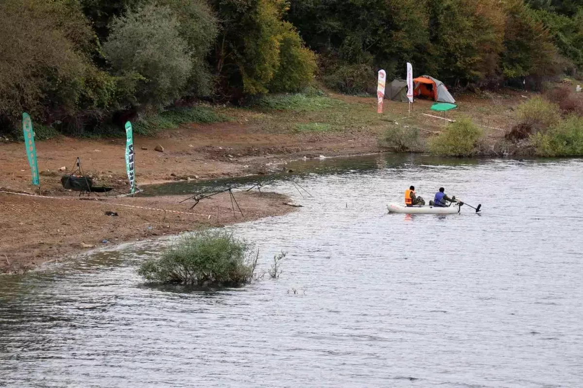 Bolu haberleri | Bolu'da, balık ölümleri sazan yakalama yarışını sonlandırdı