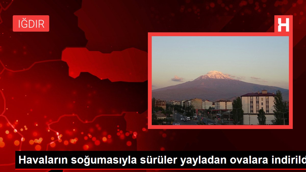 Havaların soğumasıyla sürüler yayladan ovalara indirildi