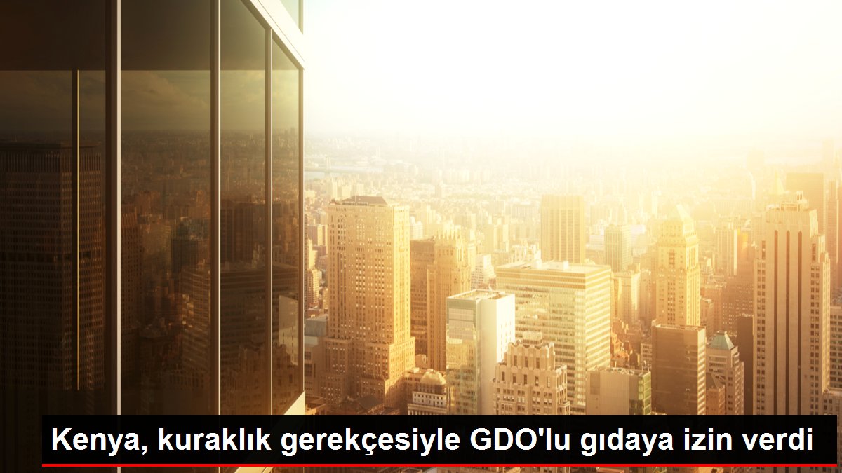 Kenya, kuraklık gerekçesiyle GDO'lu gıdaya izin verdi
