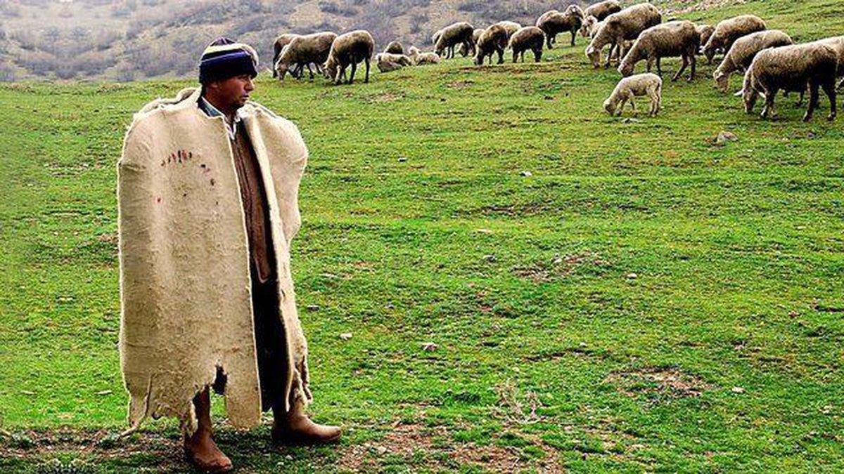 Maaş 6 bin liradan 12 bin liraya çıktı, yine çalışacak birini bulamıyorlar