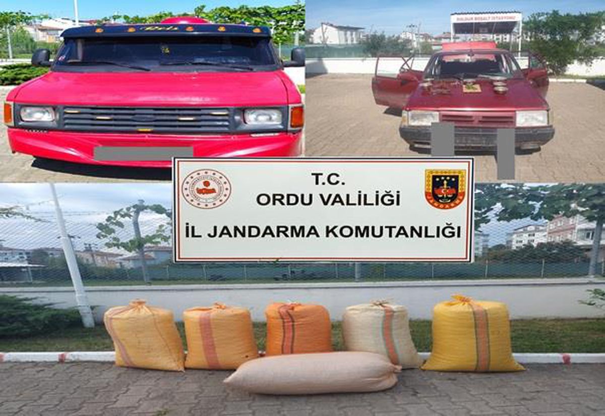 Ordu haberi: Ordu'da fındık ve kablo hırsızlığı yapan 7 şüpheli yakalandı