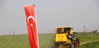 Yer fıstığı hasadı yapıldı