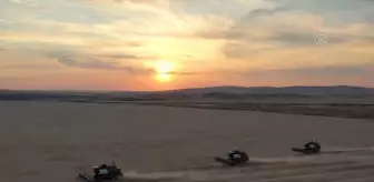 Urallar'da buğday hasadı