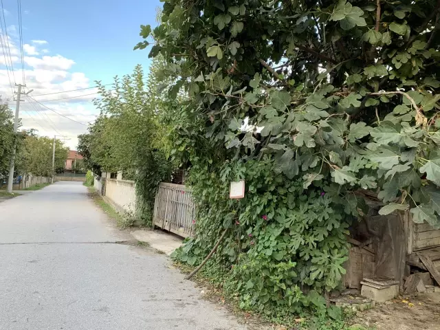 Bahçe sahibinin bir ağacına asıp bıraktığı not, yoldan geçerken gören herkesi duygulandırıyor