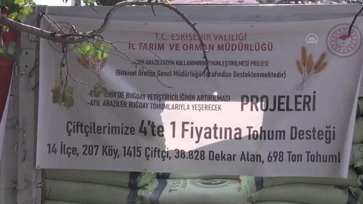 Eskişehir haber! Eskişehir'in atıl arazileri 'Reis' buğday tohumuyla yeşerecek