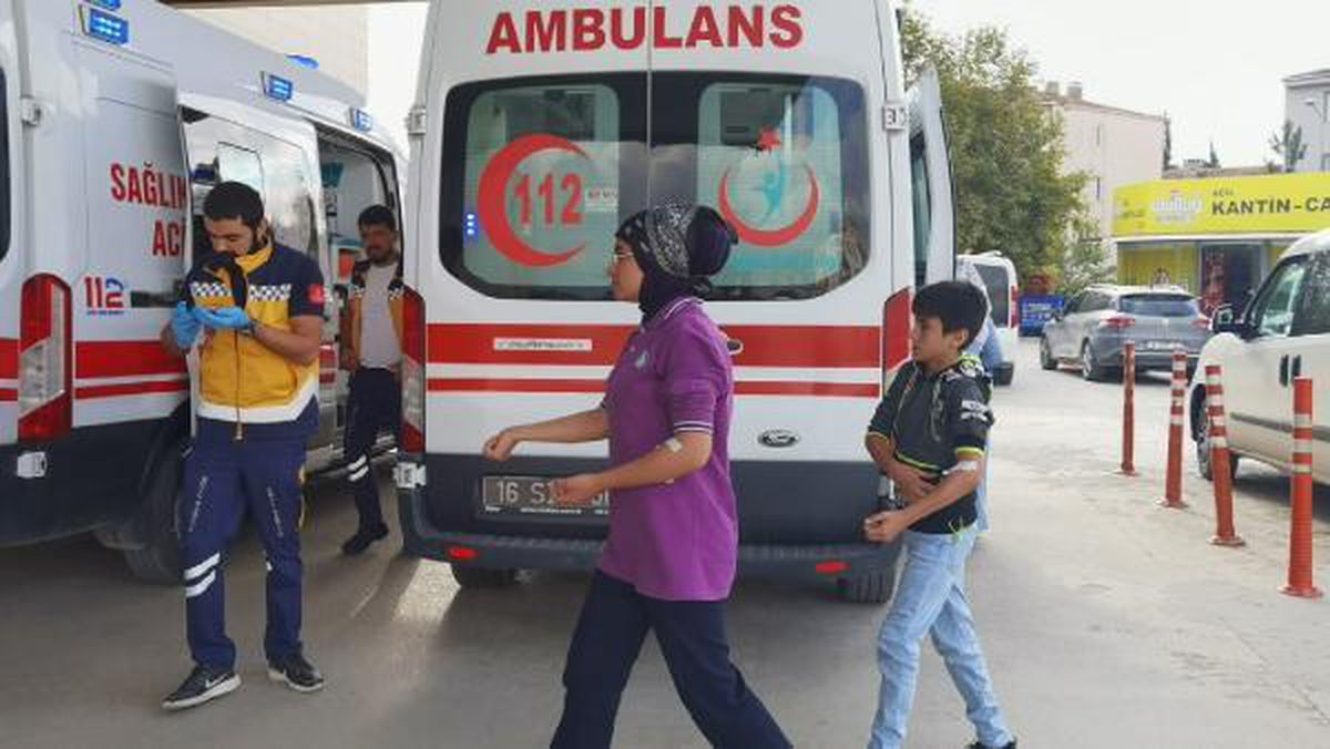 Kovanlarına vurulan arılar 15 öğrenciyi soktu! Eğitime bir gün ara verildi