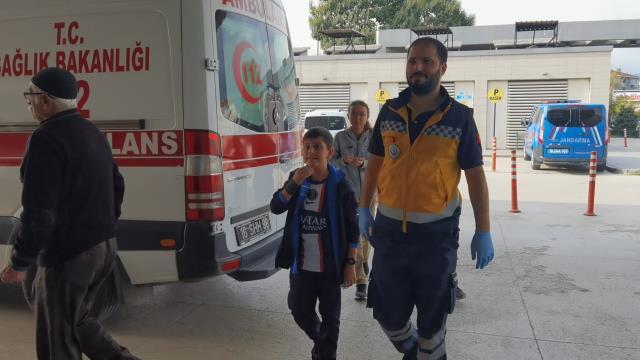 Kovanlarına vurulan arılar 15 öğrenciyi soktu! Eğitime bir gün ara verildi