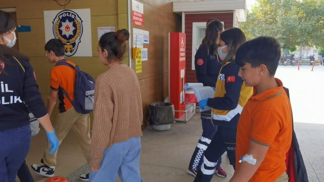 Kovanlarına vurulan arılar 15 öğrenciyi soktu! Eğitime bir gün ara verildi