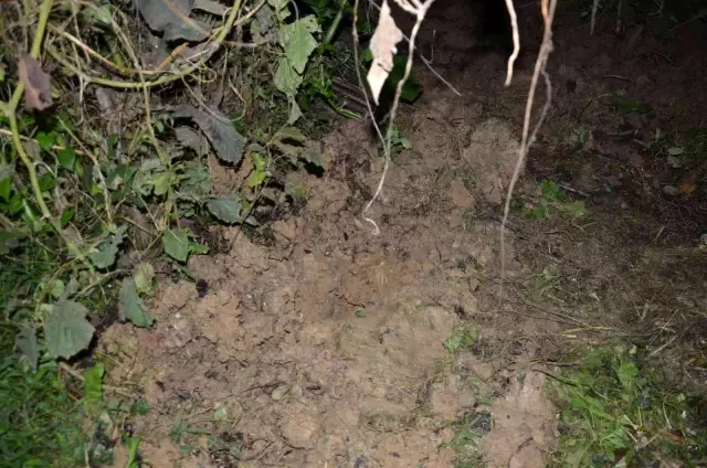 Toprağa gömülen bebeğin babası da konuştu: Cinsel ilişkiye girdim ama çocuk benim mi bilmiyorum