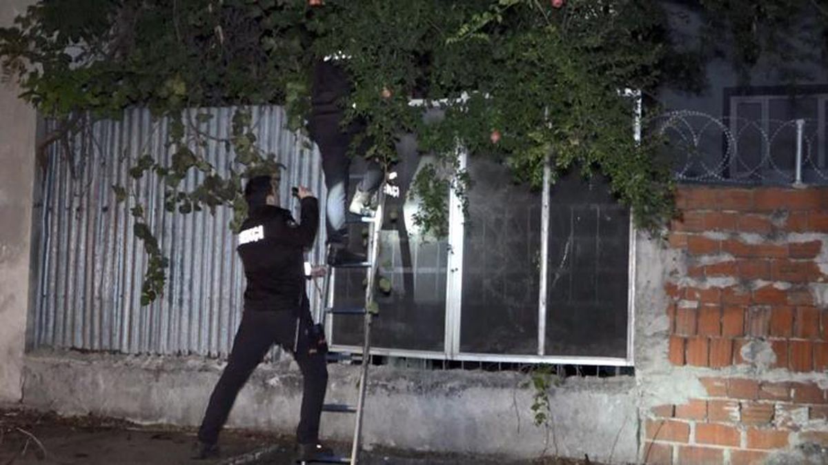 Polislerin 'hırsız var' diye tırmandıkları evden yavru kedi çıktı