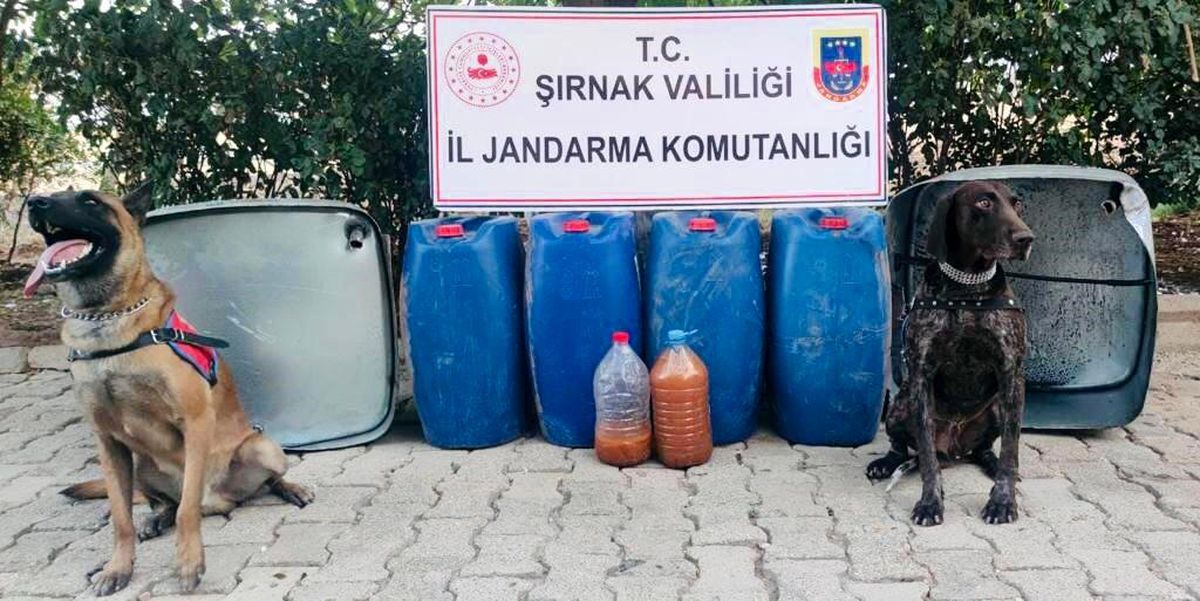 Son dakika haber... Şırnak'ta kaçakçılık ve asayiş operasyonu: 65 gözaltı