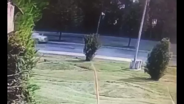 İstanbul'da köpekten kaçan 10 yaşındaki çocuk, arabanın altında kalarak can verdi