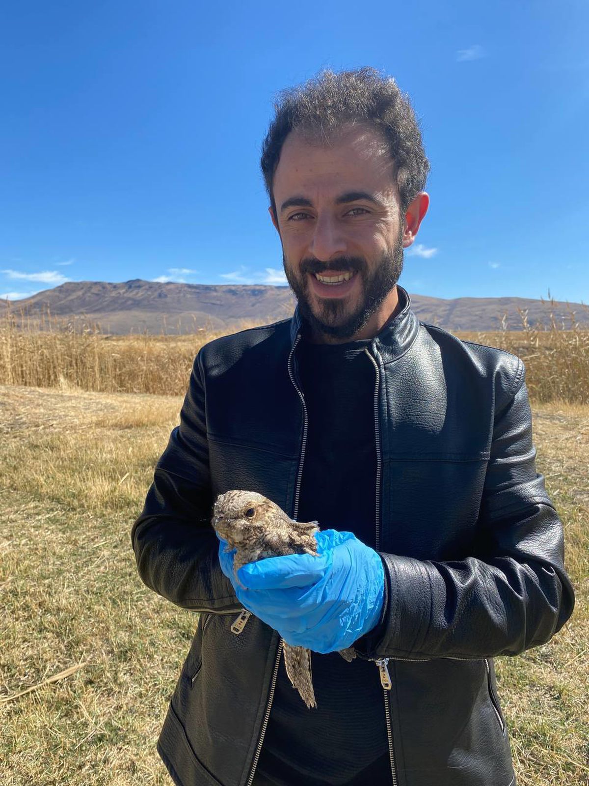 Erzurum gündem haberi | Erzurum'da tedavisi tamamlanan çobanaldatan kuşu doğaya salındı