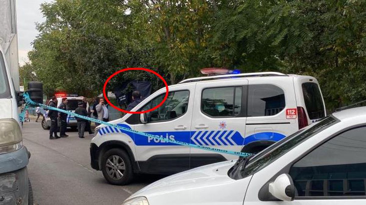 Ayva toplamak için çıktığı ağaçta feci şekilde can verdi