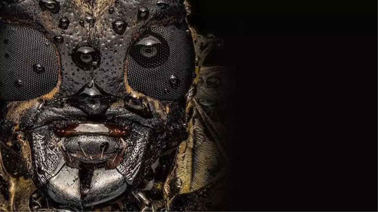 Bu fotoğrafın ne olduğunu kimse tahmin edemiyor! Öğrenince siz de çok şaşıracaksınız