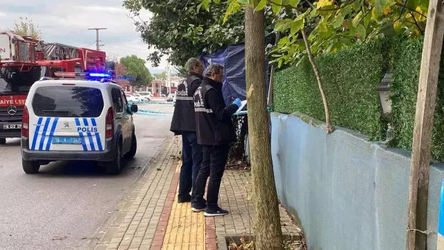 Ayva toplamak için çıktığı ağaçta feci şekilde can verdi Ayva toplamak için çıktığı ağaçta feci şekilde can verdi