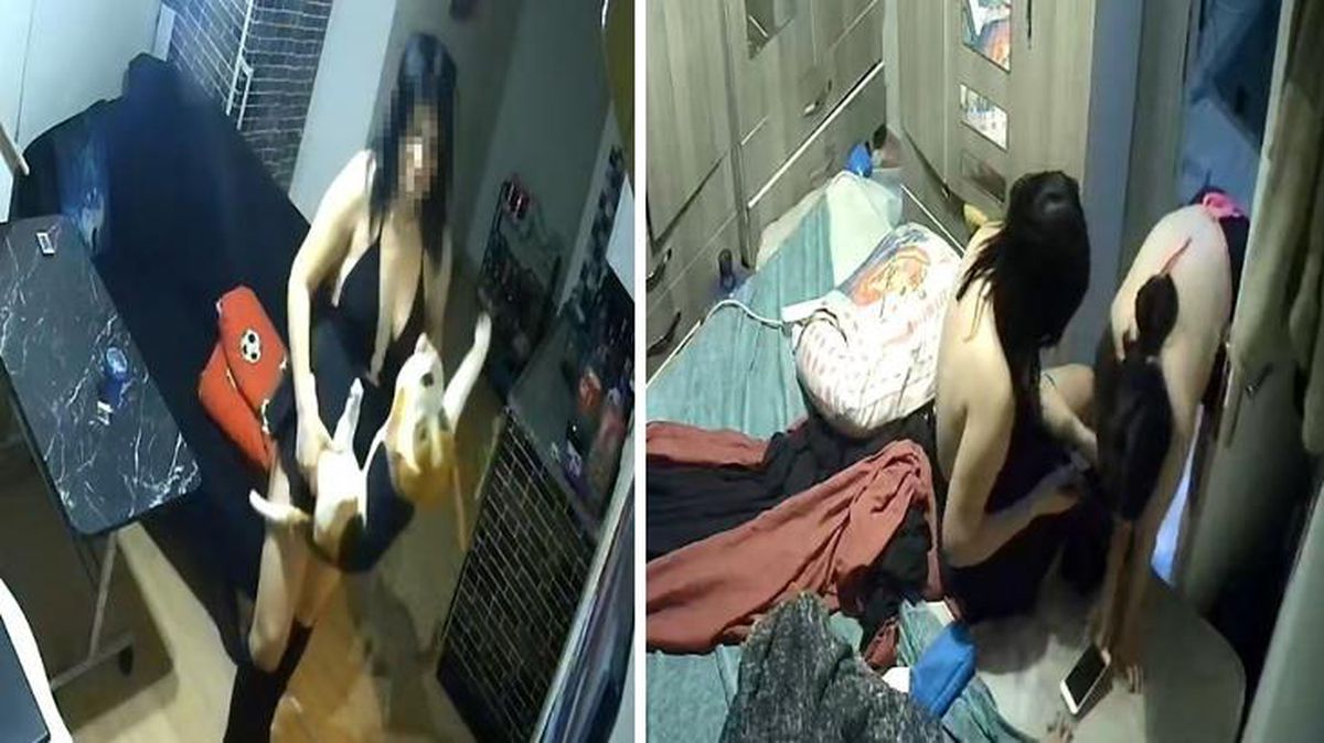 Bunlar da dekolteli hırsız! Verilen ceza ev sahibini isyan ettirdi: Manevi olarak yıkıldık