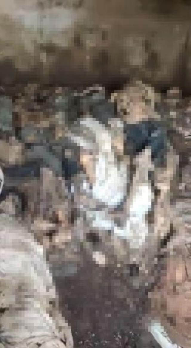 Hastane çatısında korkunç görüntüler! Çürümeye yüz tutmuş iki oda dolusu ceset bulundu Hastane çatısında korkunç görüntüler! Çürümeye yüz tutmuş iki oda dolusu ceset bulundu