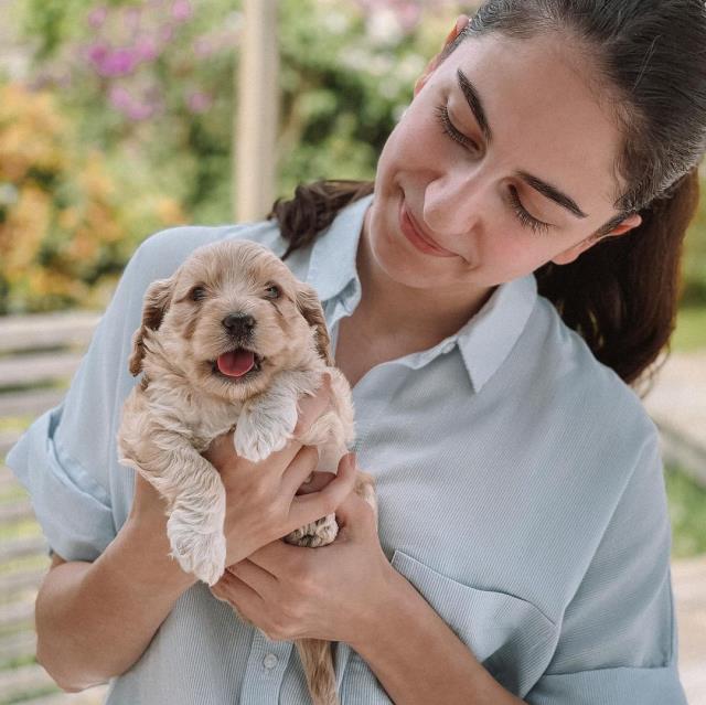 Daha 26 yaşında! İran asıllı Romina Pourmokhtari İsveç'in en genç bakanı oldu Daha 26 yaşında! İran asıllı Romina Pourmokhtari İsveç'in en genç bakanı oldu