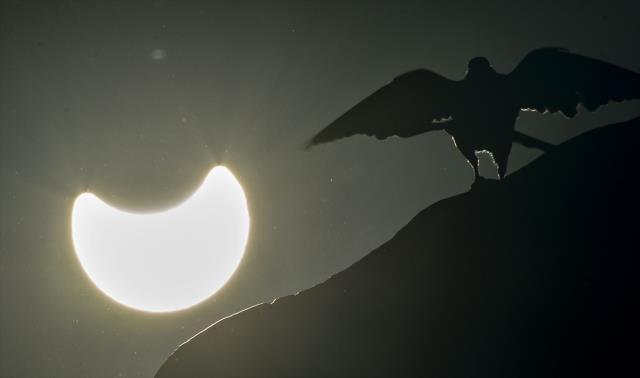 Merakla beklenen güneş tutulması gerçekleşti! İşte doğa mucizesinden çok güzel kesitler