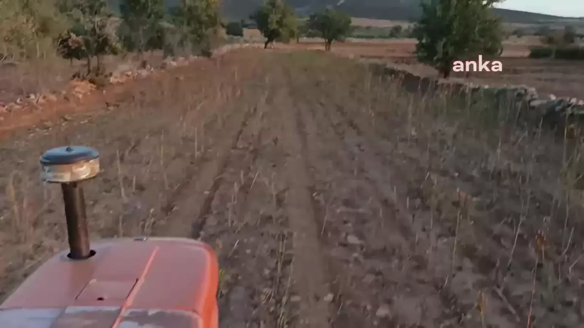 Aydınlı Vatandaşların Yol Tepkisi: 'Uçarak mı Geleceğiz Arazilerimize'